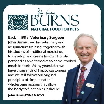 Burns Adult & Senior Sensitive - Ente & Brauner Reis