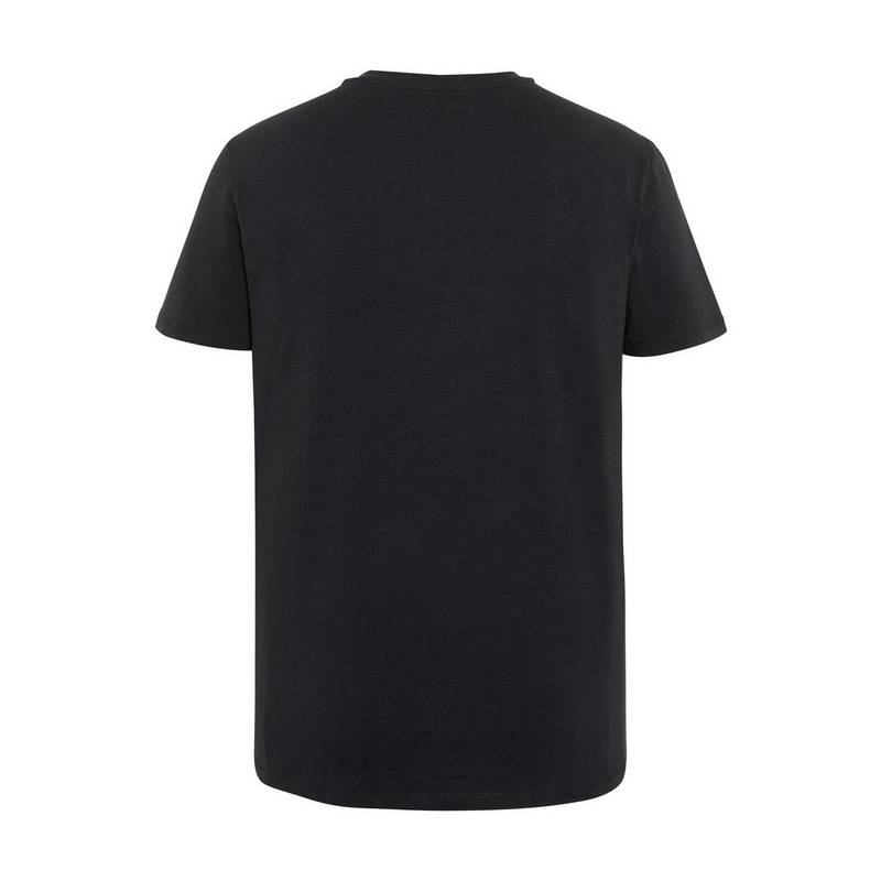Chiemsee T-Shirt T-Shirt Herren
