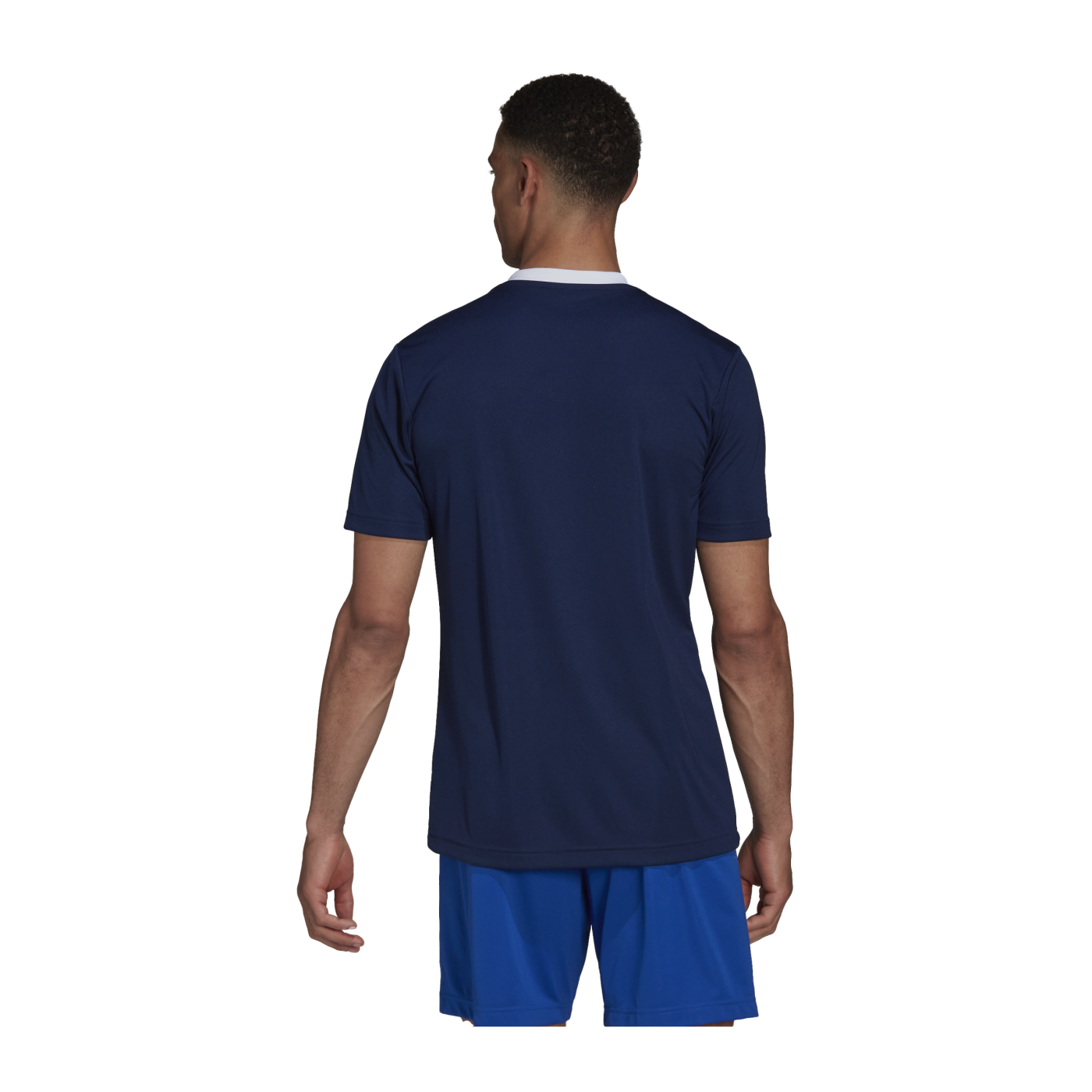 adidas Entrada 22 Trikot Blau