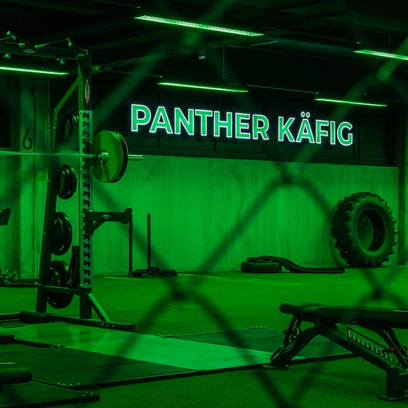 Erlebnis Panther Gym Studioticket
