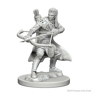 Human Male Ranger: D&D Nolzurs Marvelous Unpainted Minis