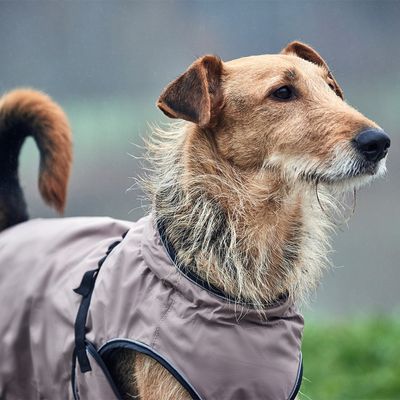 HUNTER Hundemantel Uppsala