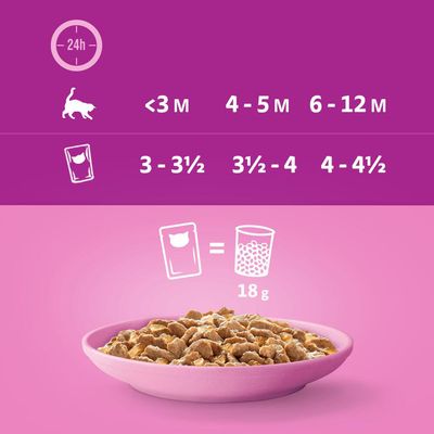Multipack Whiskas Junior Frischebeutel 12 x 85 g