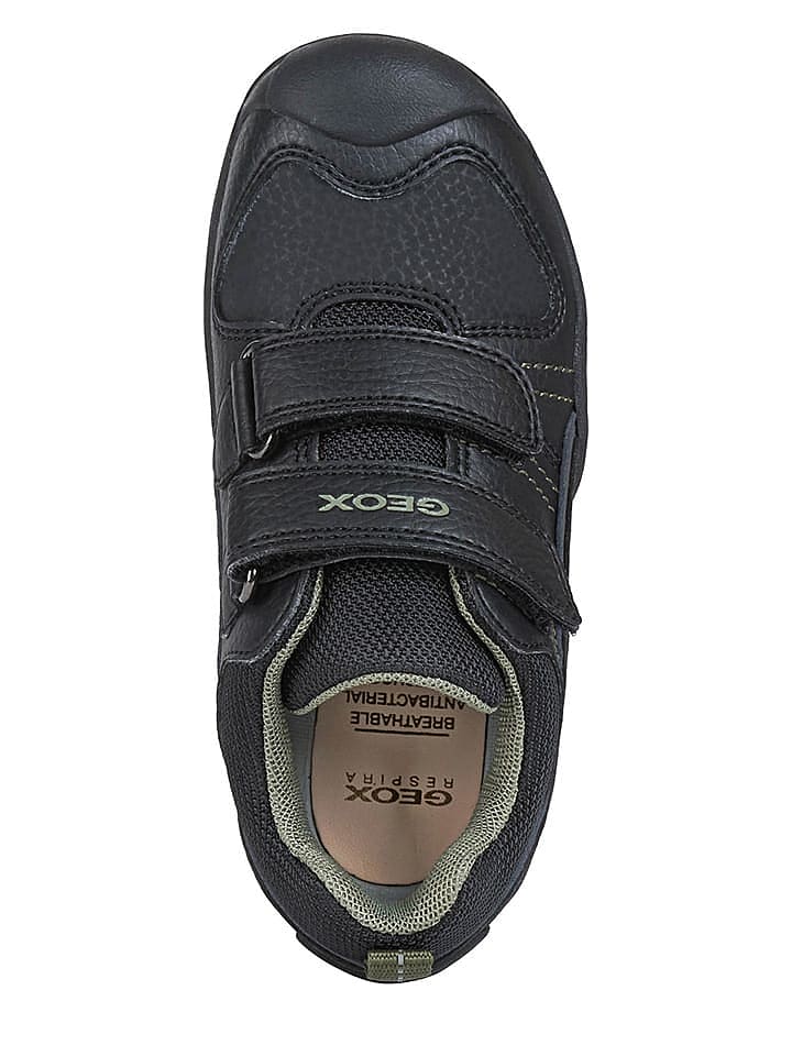 Geox Sneakers 