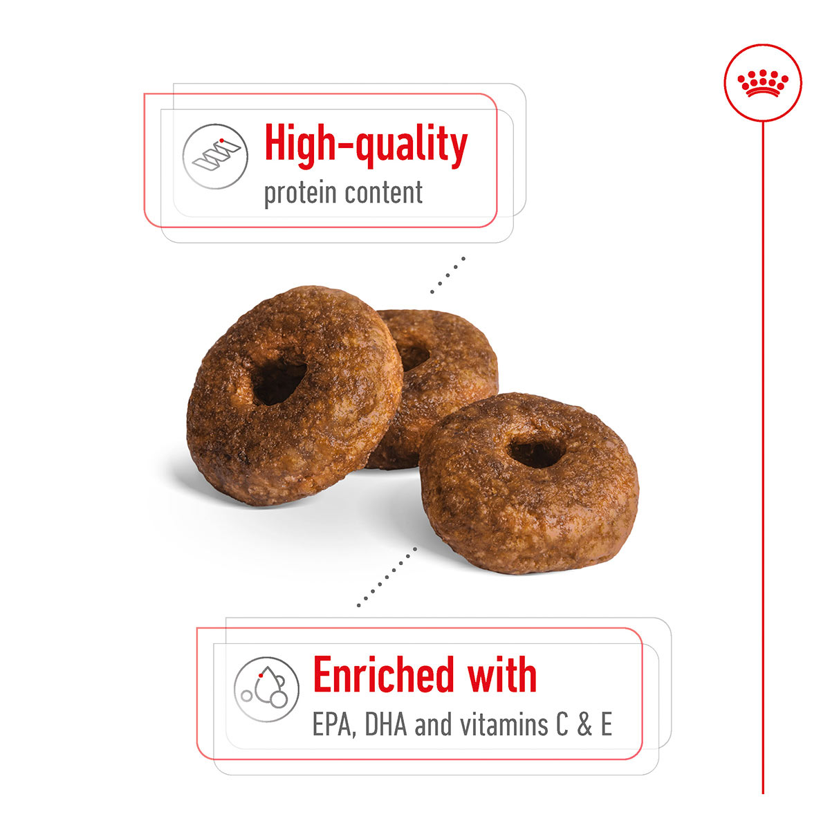 ROYAL CANIN MEDIUM Ageing 10+ Trockenfutter für ältere mittelgroße Hunde