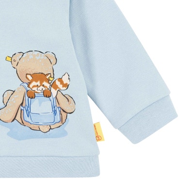 Sweatshirt, hellblau für Jungs