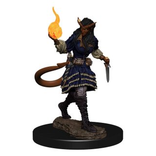 D&D Nolzur's Marvelous Miniatures: Tiefling Sorcerer Female (2)