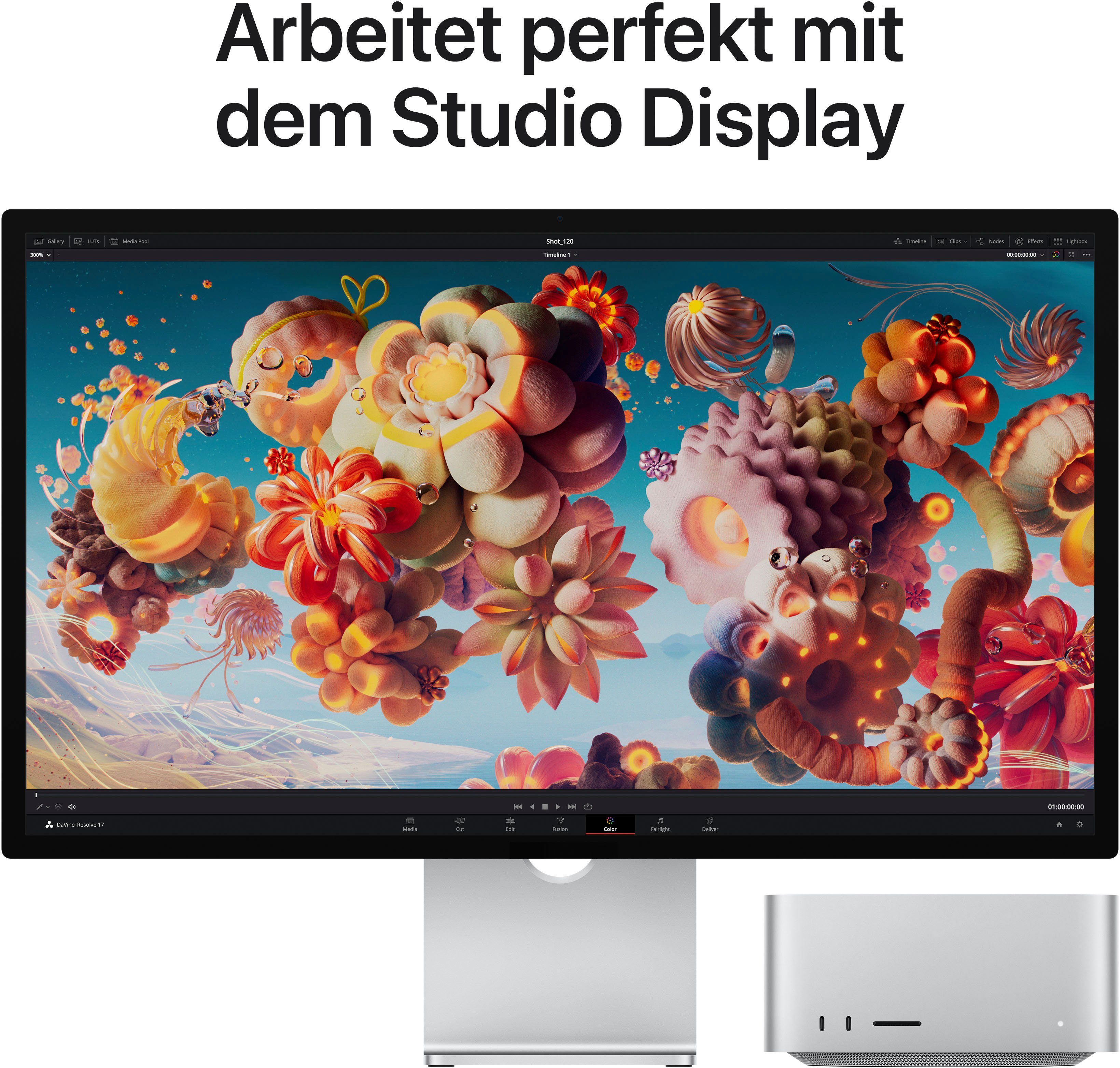 Apple Mac Studio (Apple, 64 GB RAM, 1000 GB SSD, Ideenkraftwerk M1 Ultra)