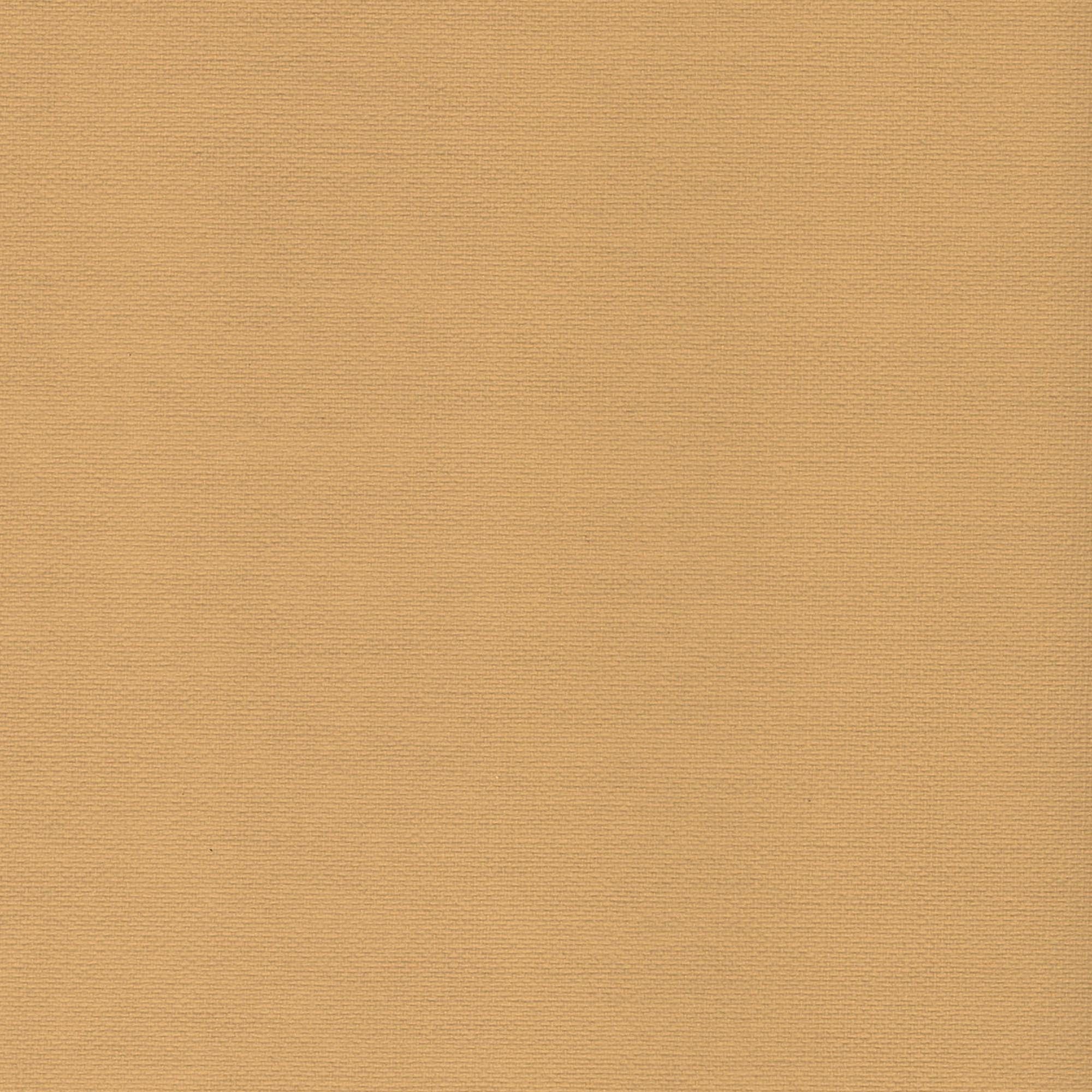 Schiebegardine, Liedeco, Klettband (1 St), halbtransparent, HxB: 245x60