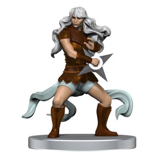 Pathfinder Battles Miniaturen: Impossible Lands - Heroes and Villains Boxed Set (8) (pre-painted)
