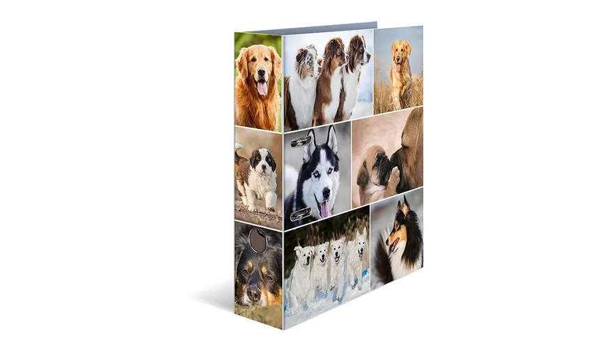 HERMA Motiv-Ordner A4 breit Hunde Motiv