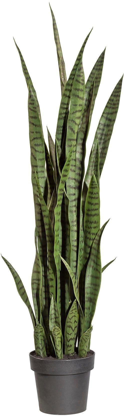 Kunstpflanze Sanseveria, Creativ green, Höhe 120 cm