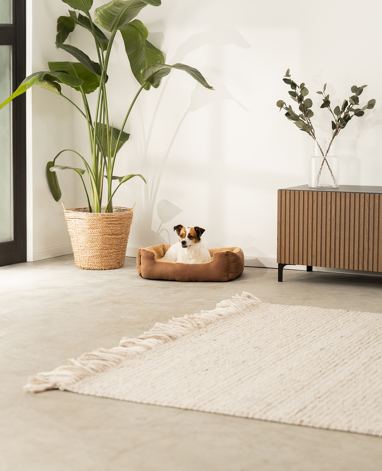 Lionto Hundebetten Lionto Hundebett mit Wendekissen braun M