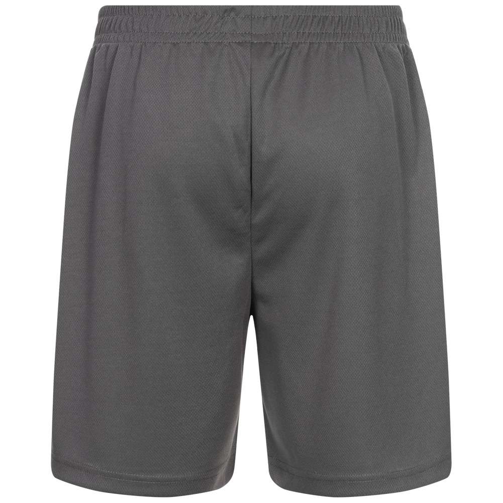 SPORTINATOR Essentials Herren Training Shorts grau
