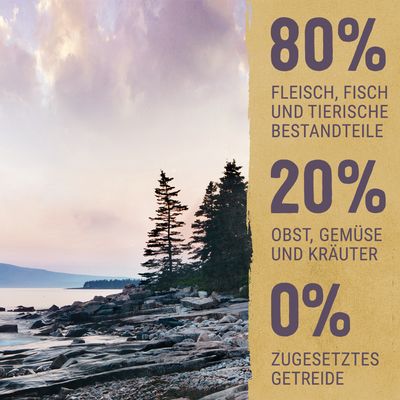Purizon Senior Huhn mit Fisch - getreidefrei