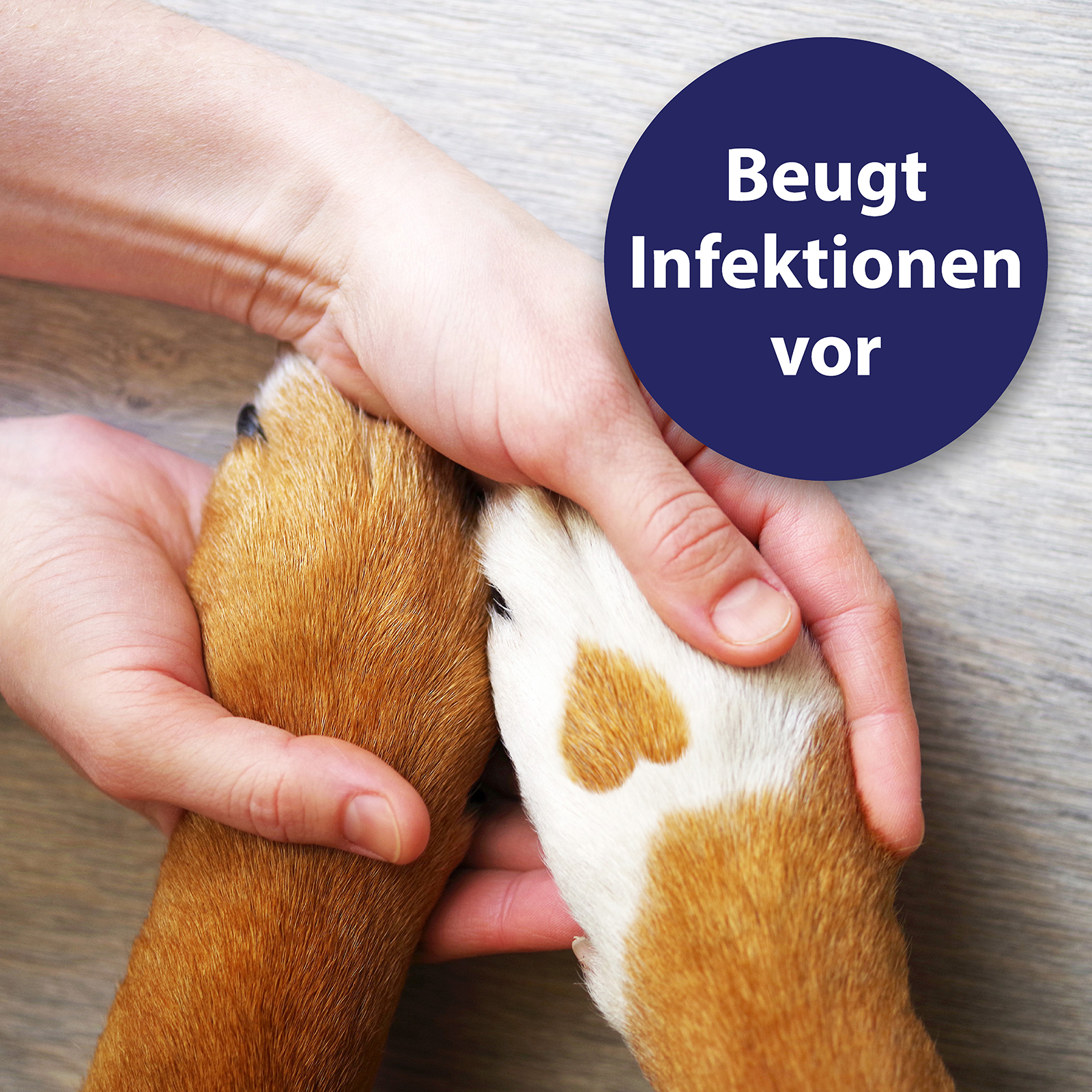 Canosept Fellpflege Canosept Wundspray für Hunde 75 ml