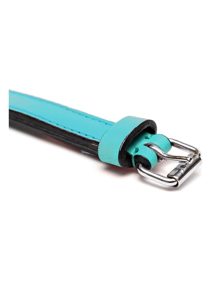 Gloria Leder-Hundehalsband 