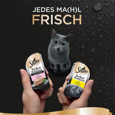 Megapack Sheba Perfect Portions 32 x 37,5 g