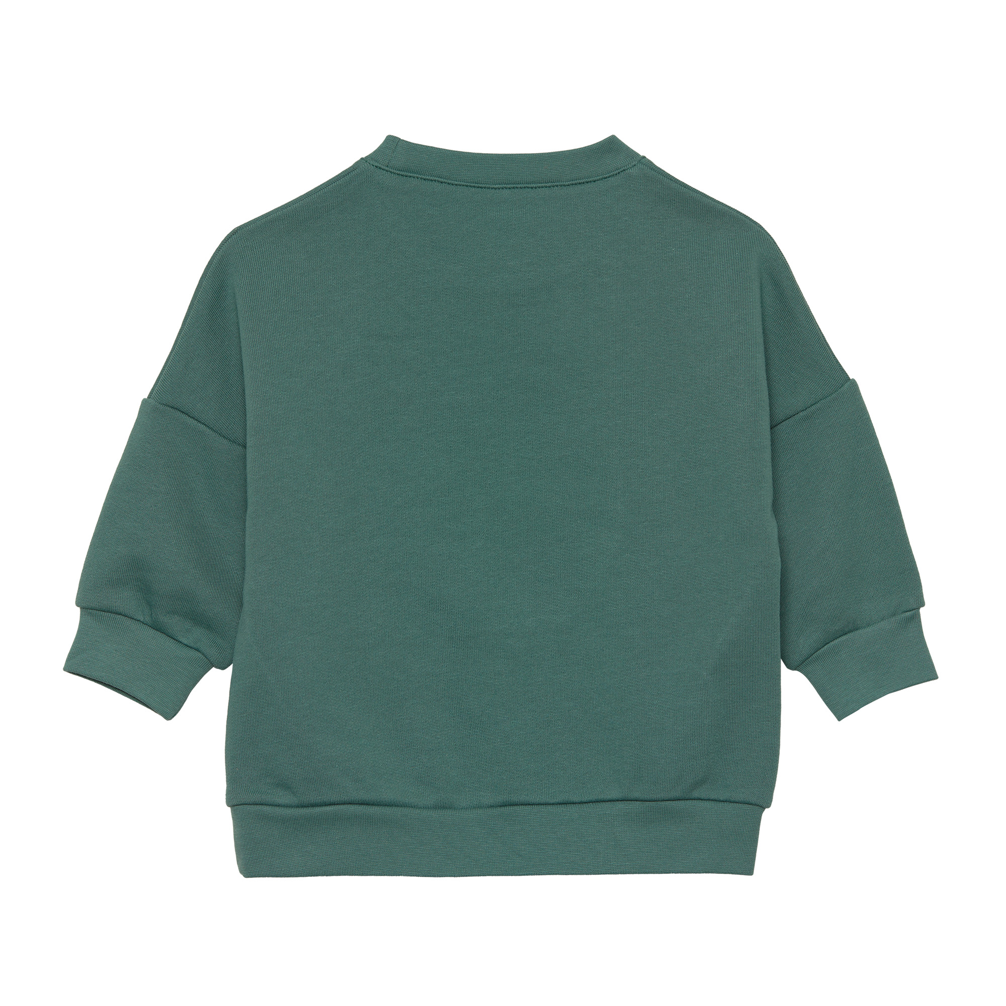 Kinder Pullover - Bio Baumwolle, Little Gang, Smile Grün