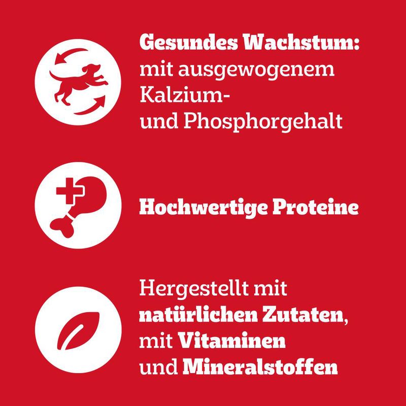 Pedigree Junior Frischebeutel Multipack