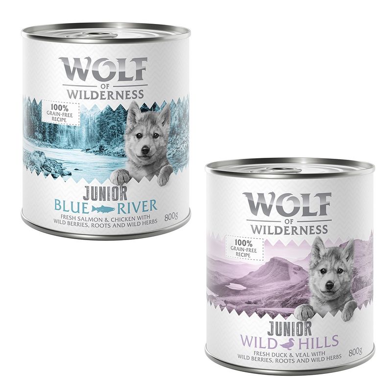 Sparpaket Little Wolf of Wilderness Junior 24 x 800 g - Duo-Protein