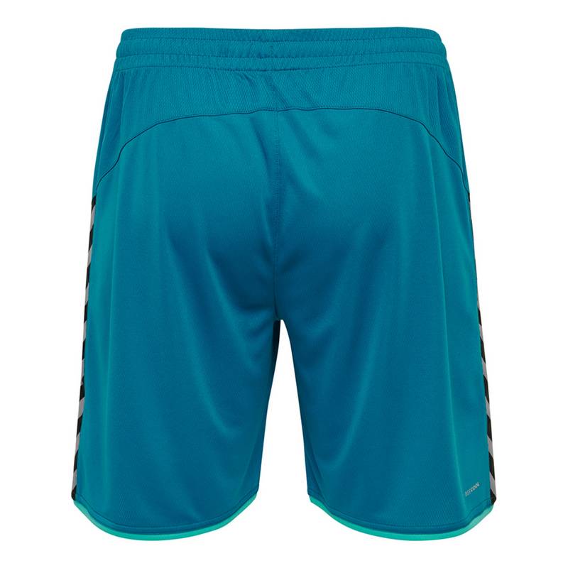 hummel hmlAUTHENTIC POLY SHORTS Shorts Herren
