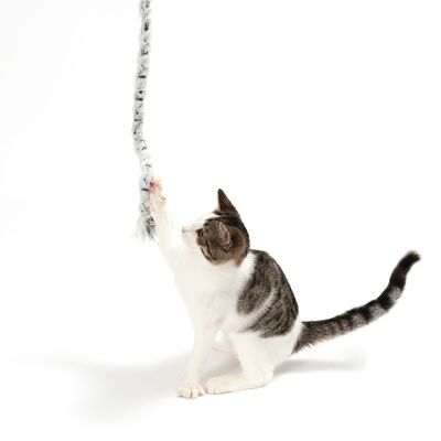 Katzenangel Plush Tail