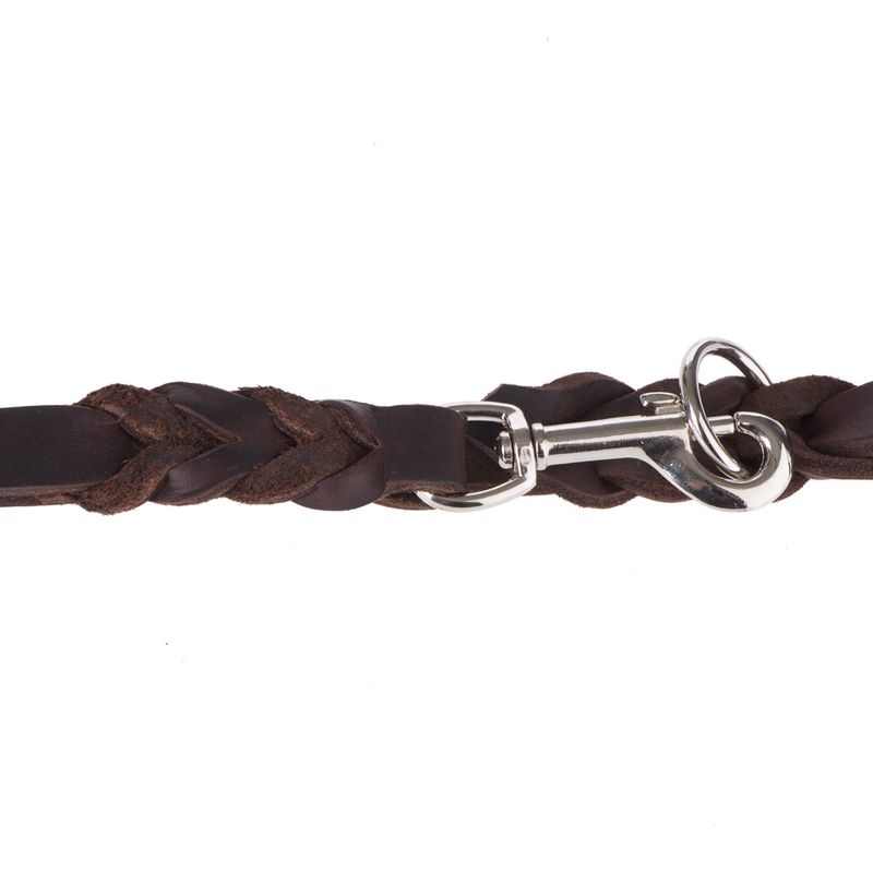 Heim Lederleine mit eingeflochtenem Karabiner - braun zu TOP-Preisen