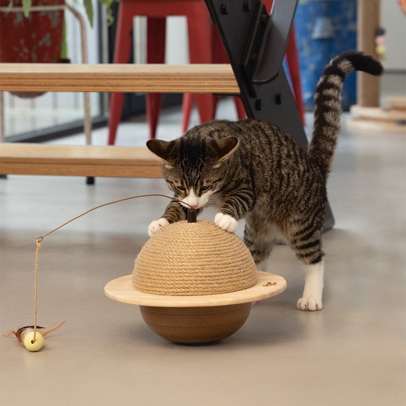 Designed by Lotte Kratzball Wiggly für Katzen