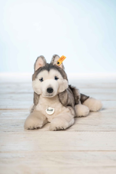 Bernie Husky, 33 cm, weiß