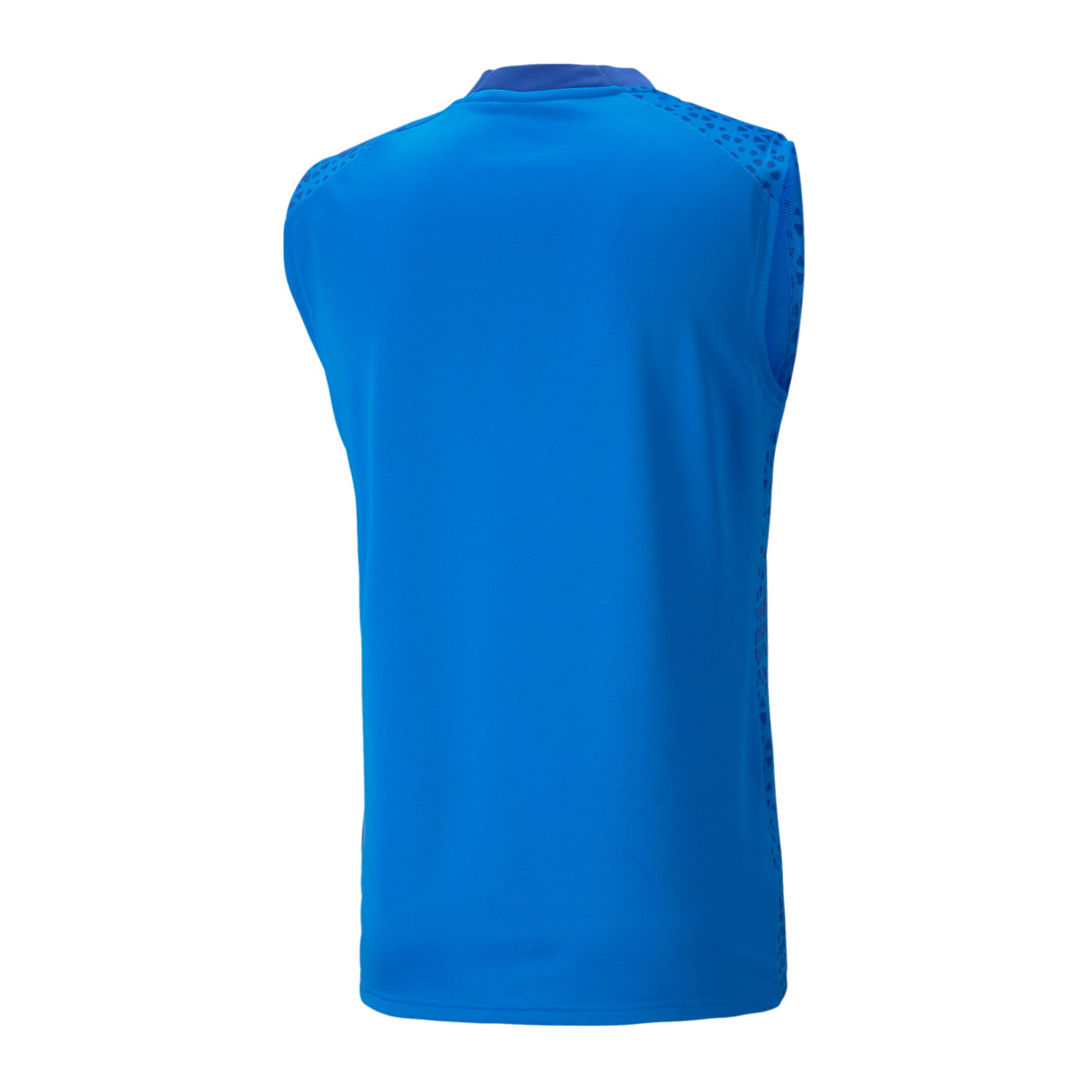 PUMA teamCUP Trainingssweatshirt Blau F02