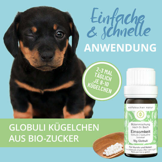 Wolfsbacher Natur Ergänzungsfutter & Aufzucht Wolfsbacher Natur Bachblüten Einsamkeit