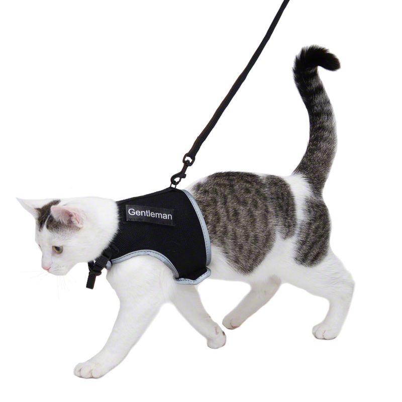 Katzenhalsband + Katzengeschirr zum Discountpreis bei bitiba: Trixie Katzengeschirr XCat XL mit Sticker und Leine, schwarz