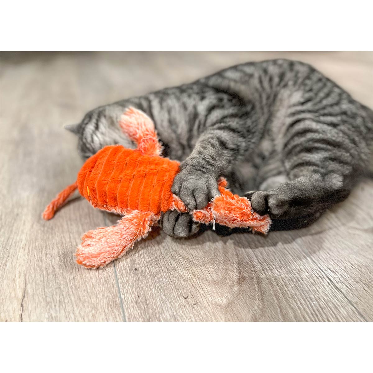 Aumüller Katzenspielkissen Zappel-Hummer orange