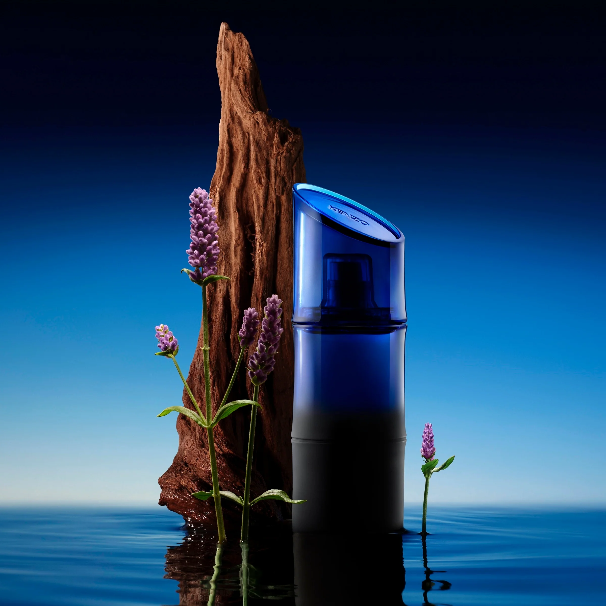 KenzoHomme Sándalo - Eau de Toilette