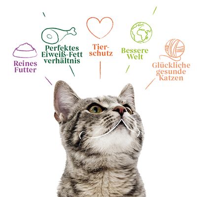 Yarrah Bio mit Huhn