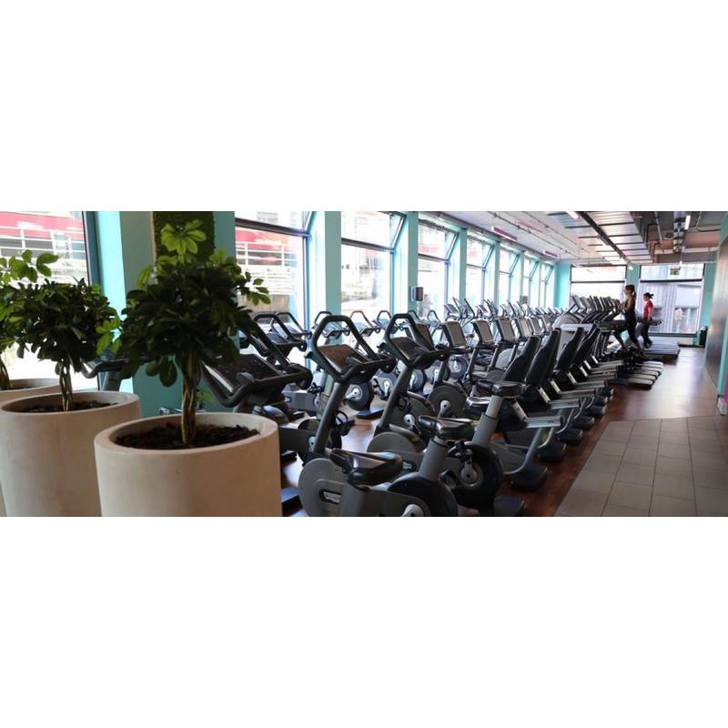 Erlebnis Pink Frauen Fitness Studioticket