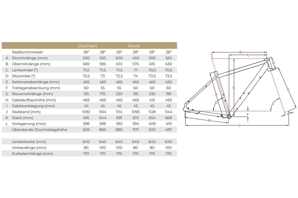 Raleigh Chester 21 - 2022 - 28 Zoll - Diamant