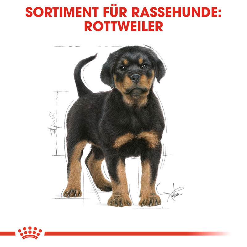 ROYAL CANIN Hundetrockenfutter ROYAL CANIN Rottweiler Puppy 2x12 kg