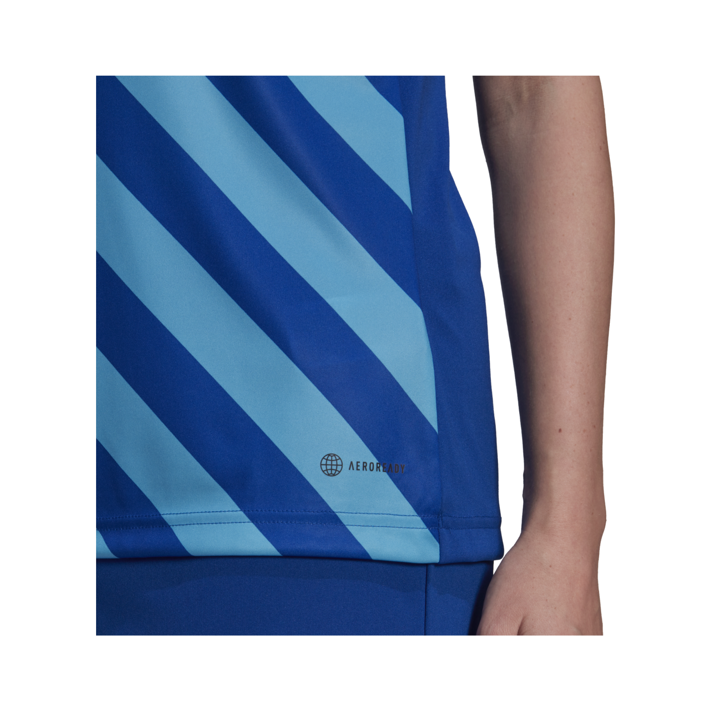 adidas Entrada 22 GFX Trikot Damen Blau