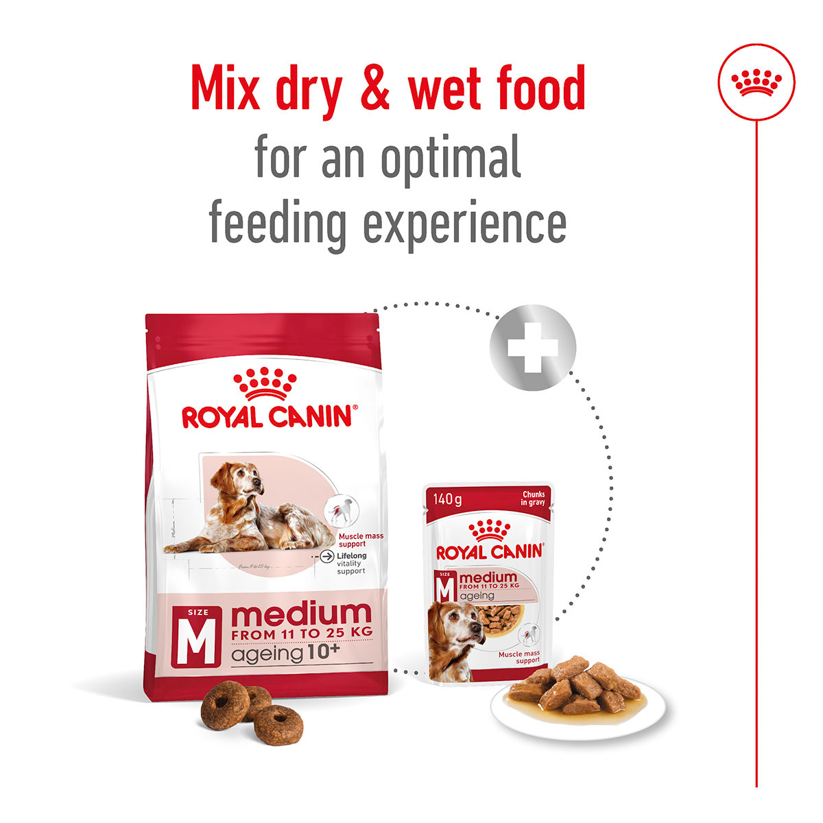 ROYAL CANIN MEDIUM Ageing 10+ Trockenfutter für ältere mittelgroße Hunde