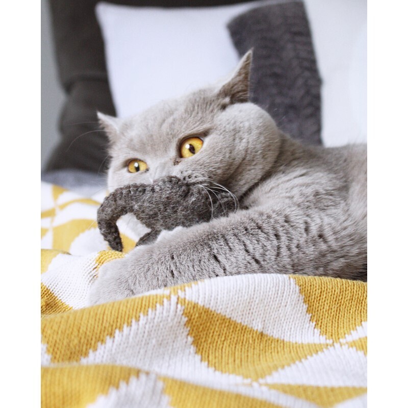 Catlab Baldrian & Catnipspielzeug Catlab S Katzenspielzeug braune Katze mit Katzenminze