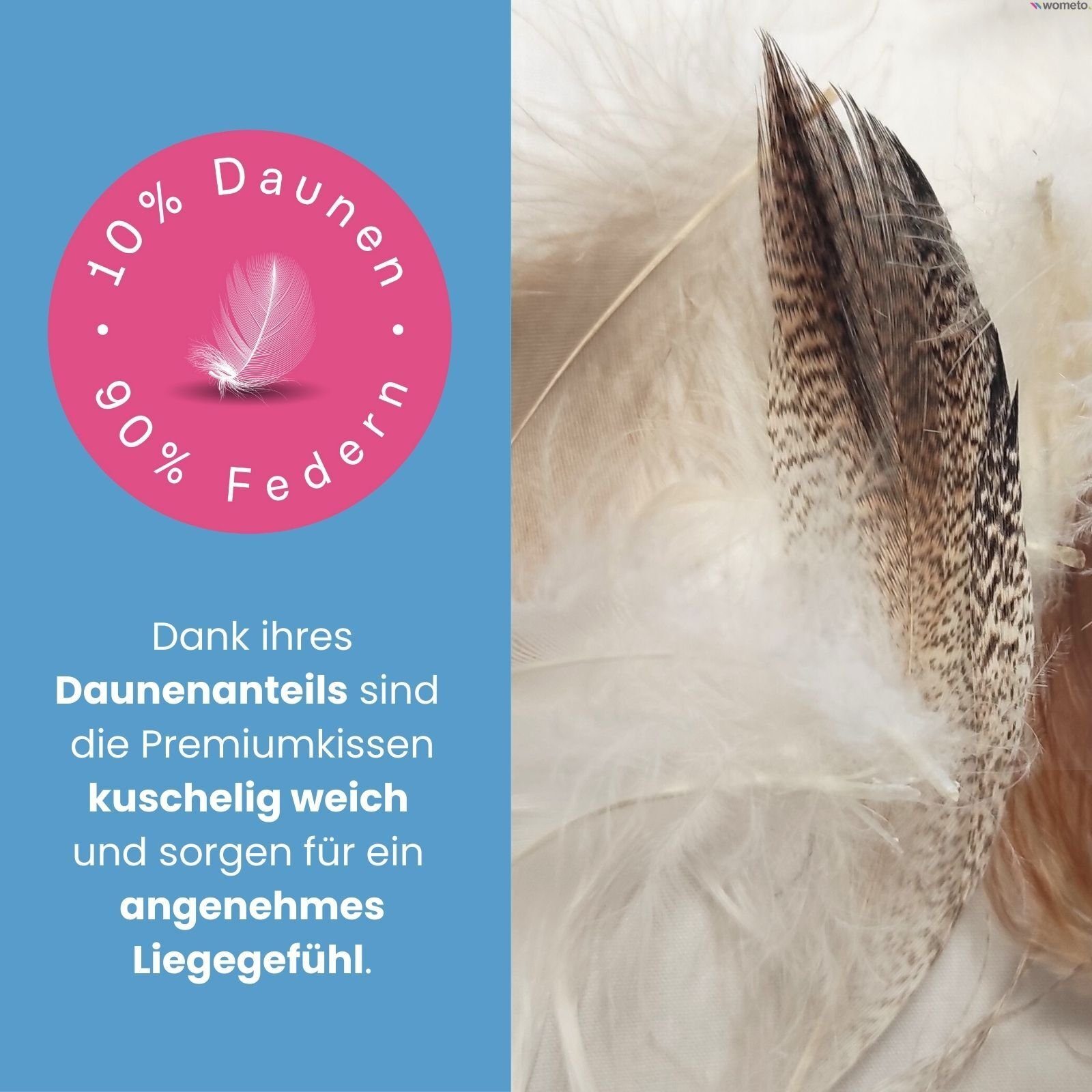 Federkissen Premium, wometo, Füllung: Federn, Doppelset, 2 Kissenfüllungen aus Baumwolle mit Füllung 90% Federn und 10% Daunen