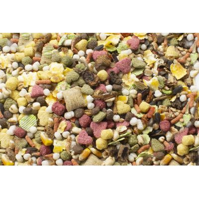 Sparpaket JR Farm Rattenschmaus