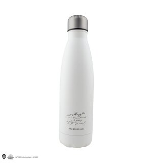 Harry Potter Thermosflasche Journey to Hogwarts