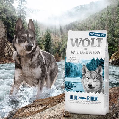 Wolf of Wilderness Adult 
