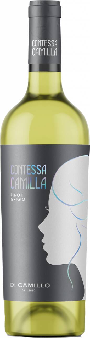 Weingut Di Camillo Vini Di Camillo Vini Pinot Grigio Contessa Camilla 2022