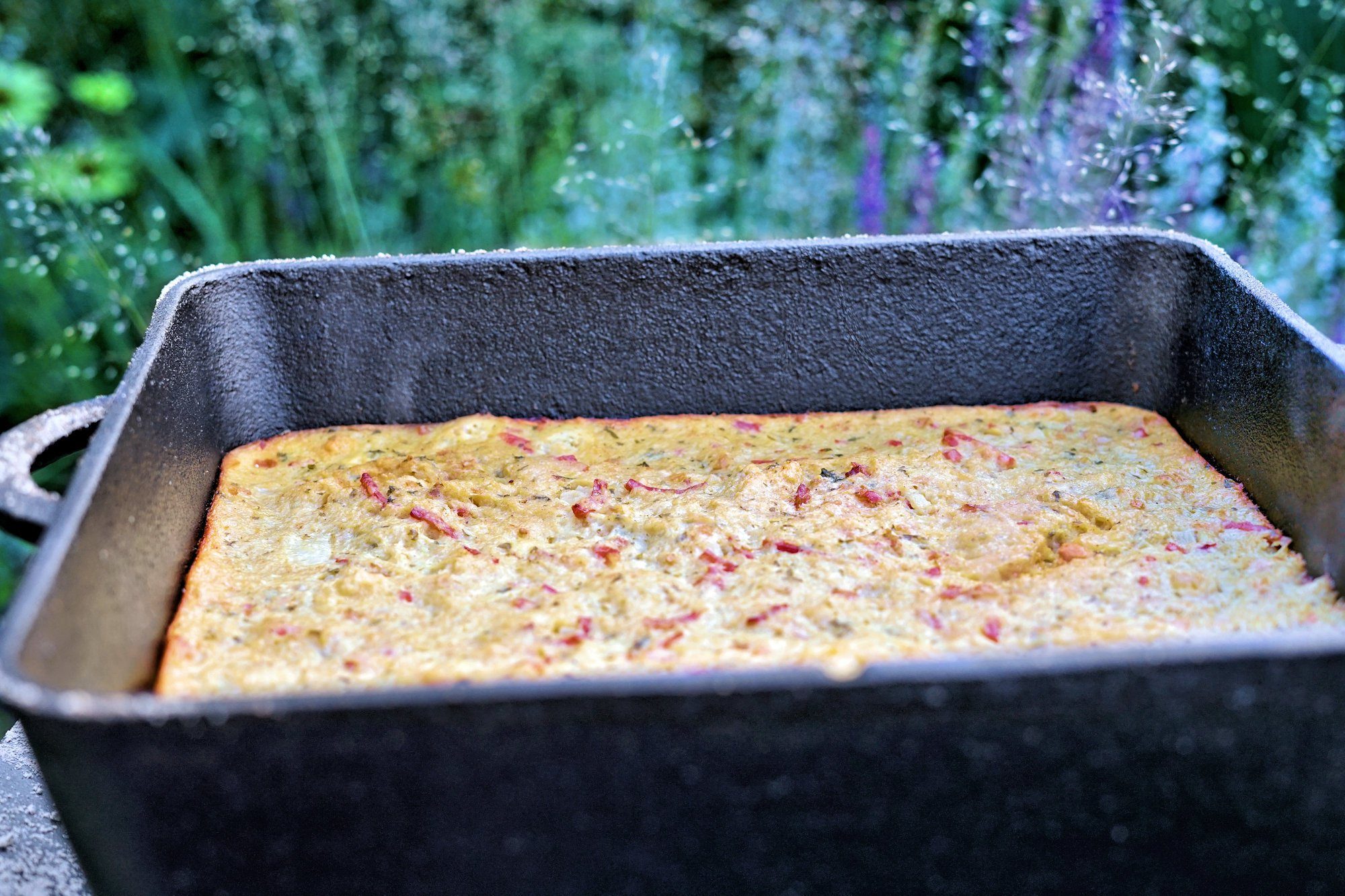 BBQ-Toro Bräter Dutch Oven Pan, 9,5 Liter, Gusseisen Kochtopf, Gusstopf, Gusseisen (2-tlg)