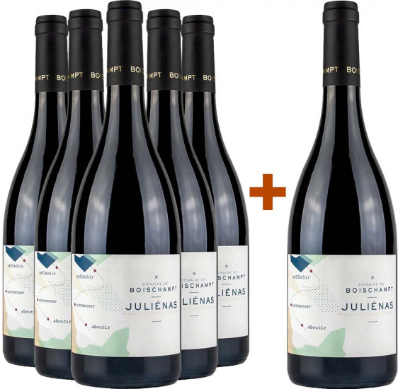 5+1 Paket Juliénas - Domaine de Boischampt