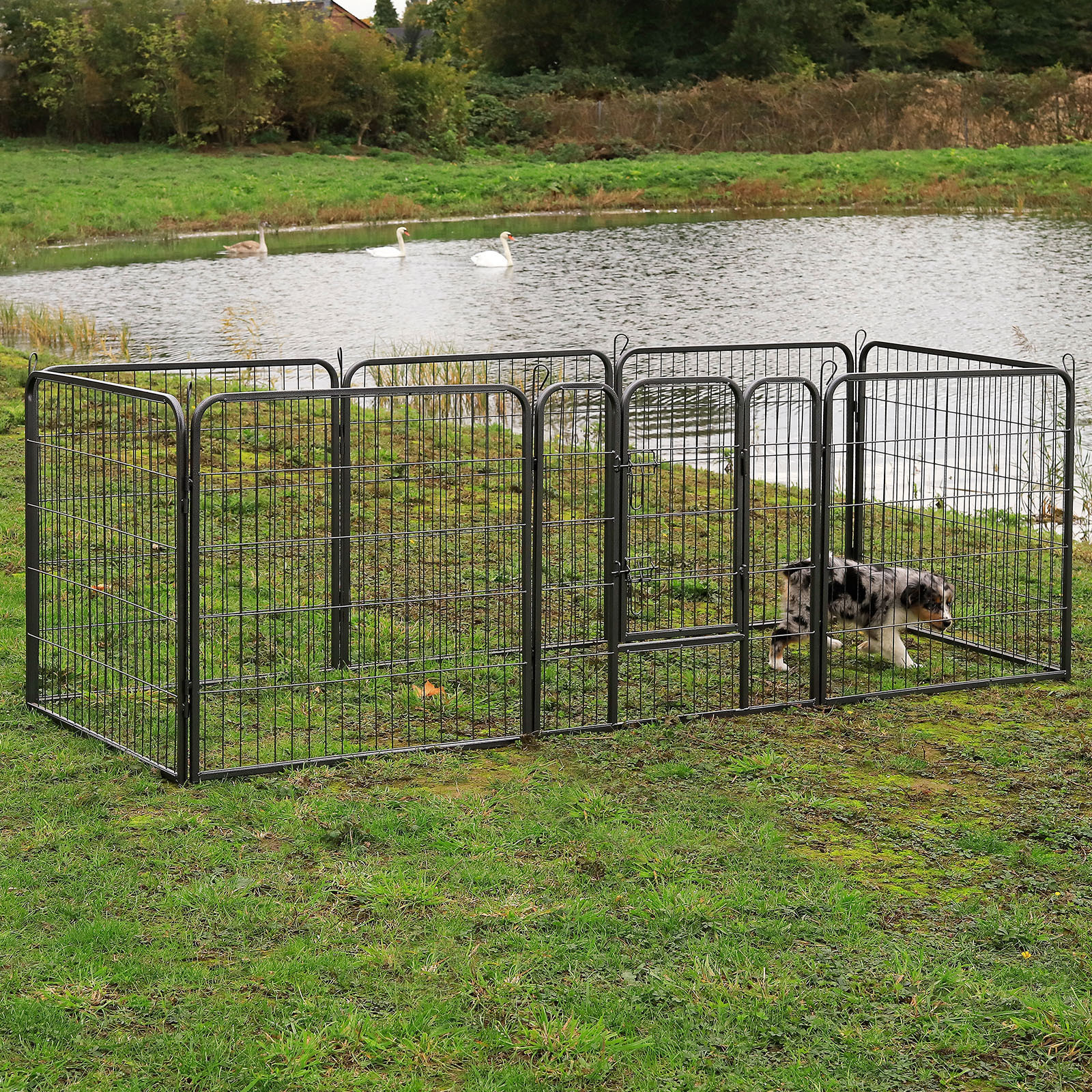 Lionto Erziehungshilfen Lionto Freilaufgehege mit Tür 60 cm, 1 cm, 80 cm
